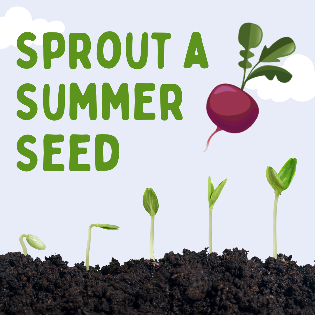Sprout%20a%20summer%20seed%20(1).png